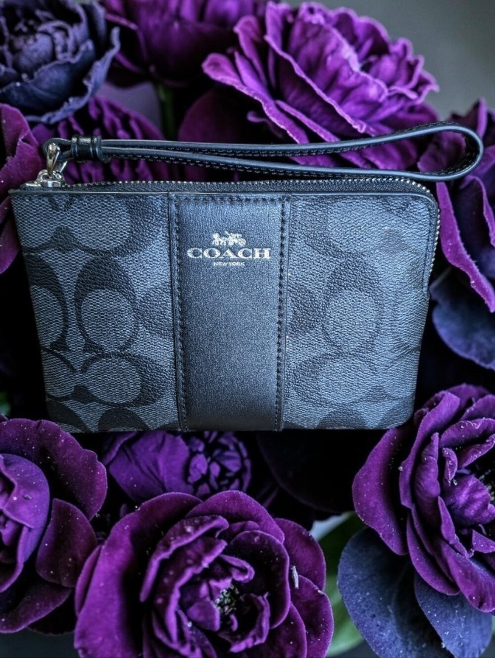Coach Black Signature Zip Wristlet